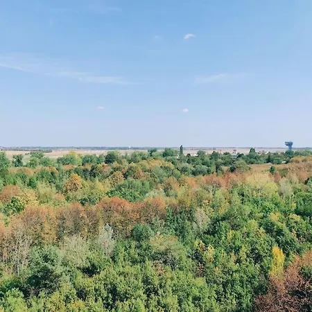 Airport For Two, Free Parking, Airport View
